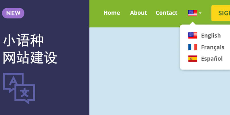 小语种网站建设